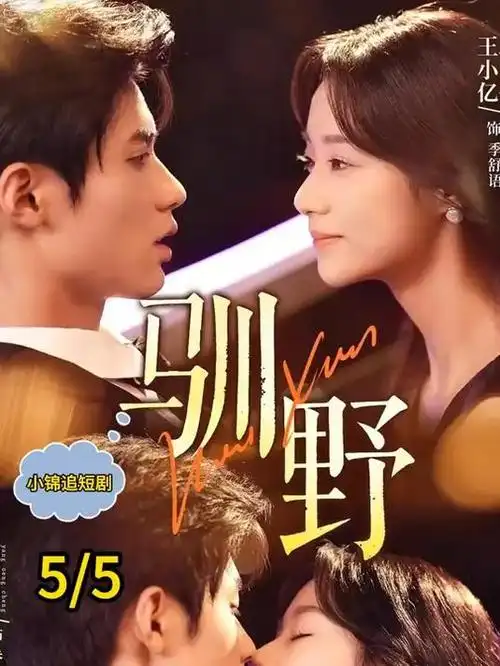 长街灯火 电视剧全集免费观看